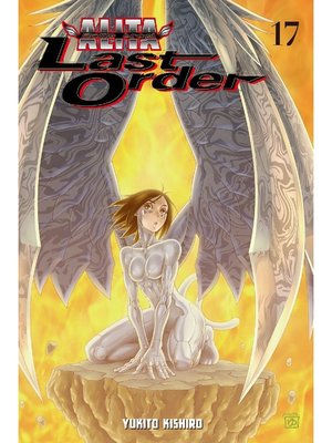 cover image of Battle Angel Alita: Last Order, Volume 17